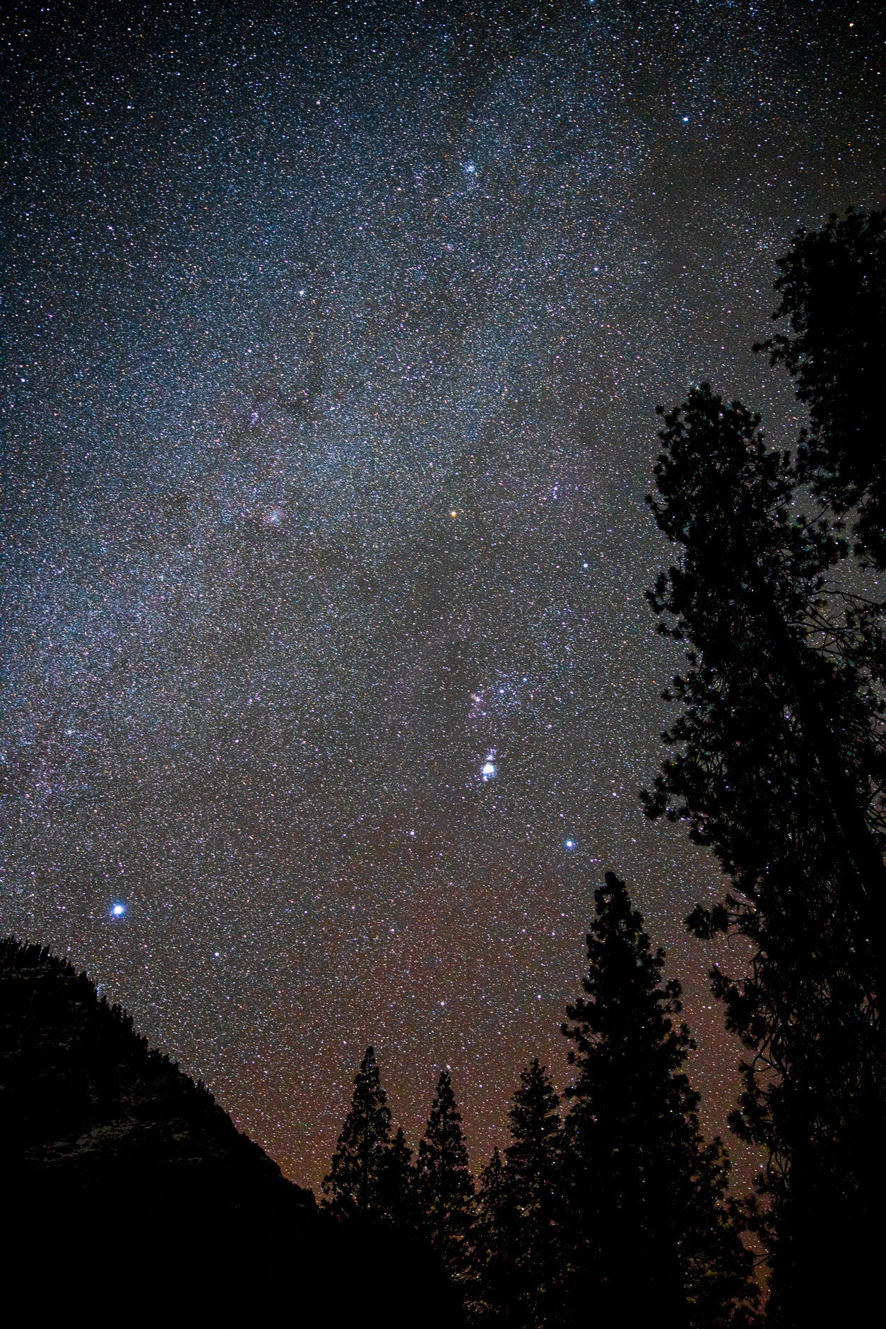 Ateliers vidéos en ligne