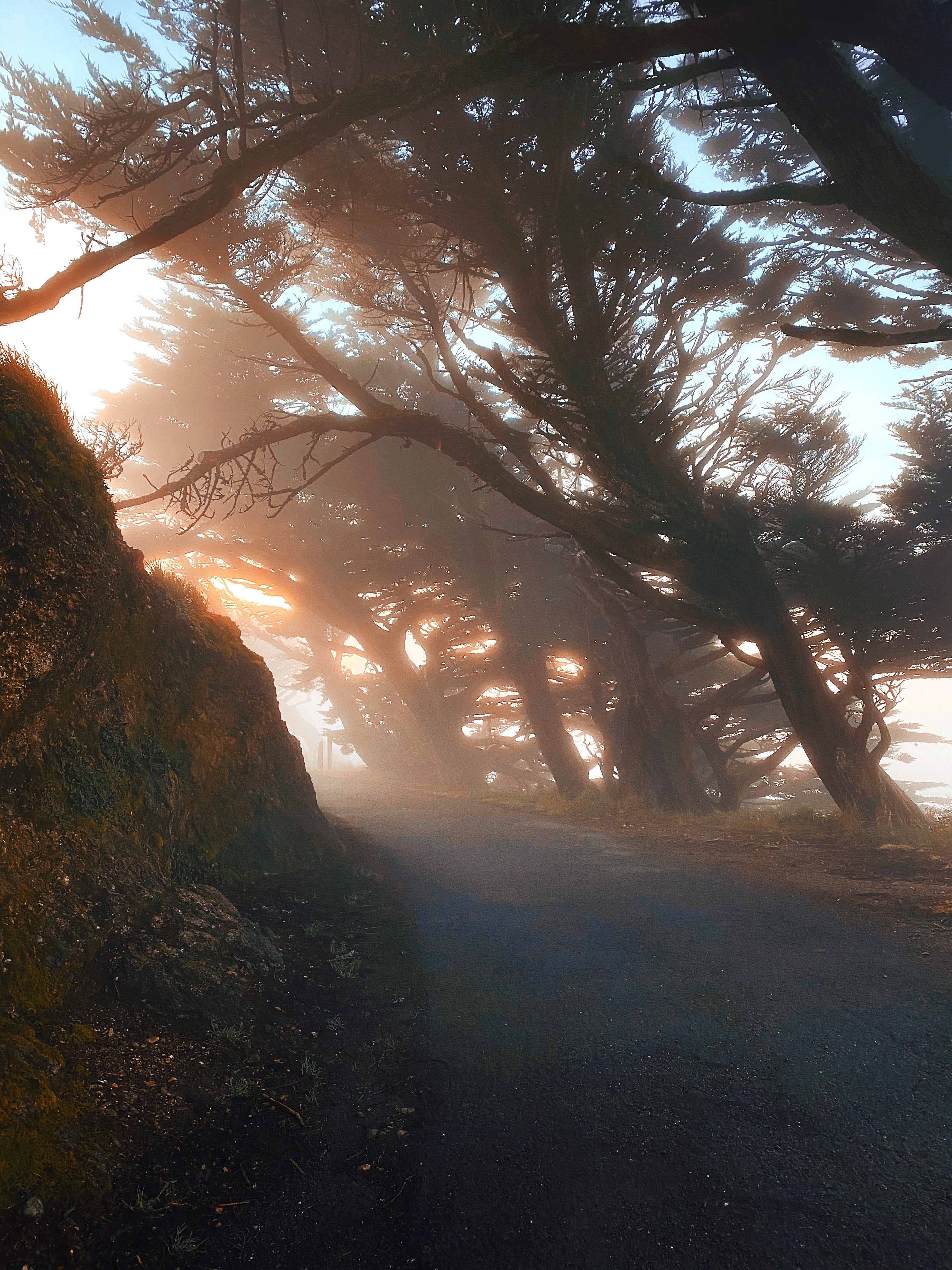 Voyage et photo de rue